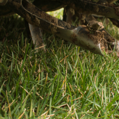 core aeration services